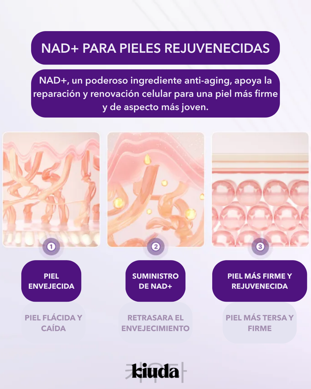 Numbuzin - No.9 NAD Bio Lifting-sil Essence - 50ml